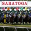 Saratoga6